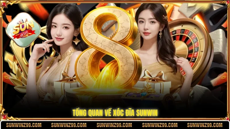 Tổng quan về xóc đĩa SUNWIN